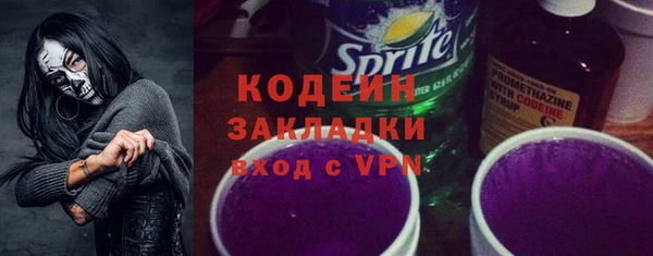 гашик Няндома