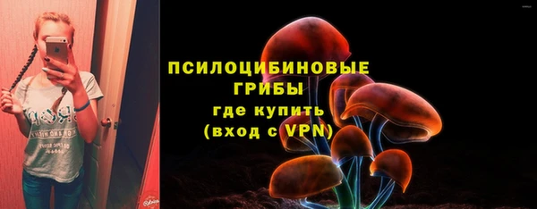 спиды Арсеньев