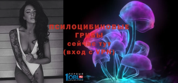 спиды Арсеньев