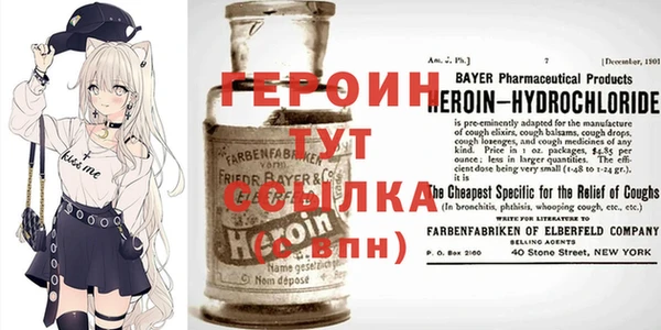 гашик Няндома