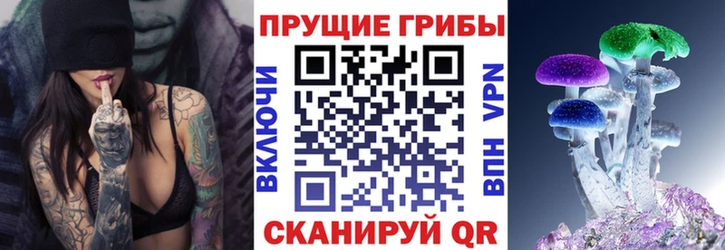 Галлюциногенные грибы мицелий купить сайты Саки